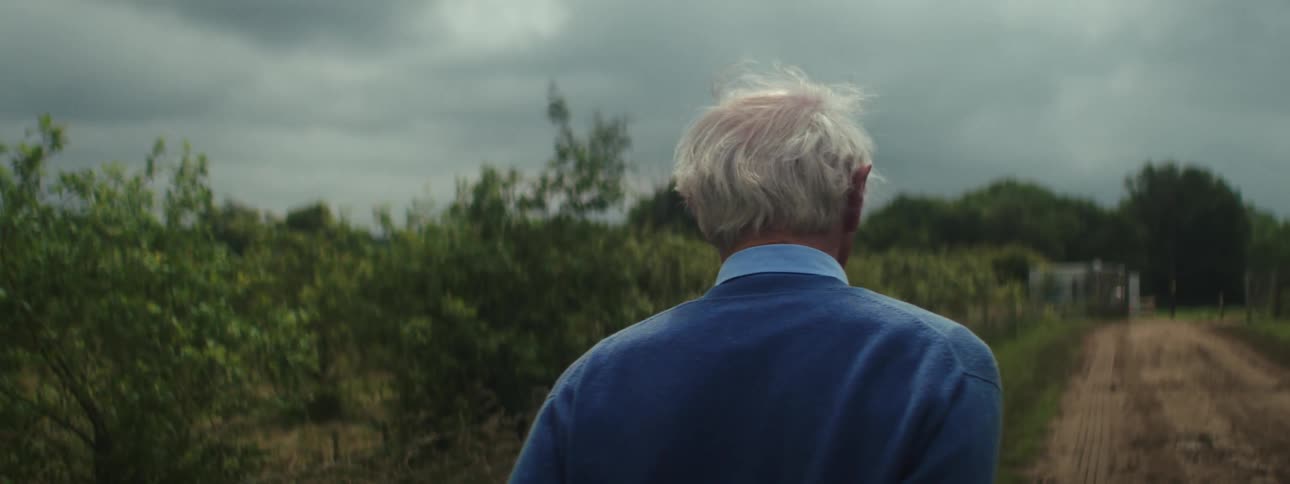 A close view from behind of an older man with gray hair walking on a dirt road next to overgrown brush under a cloudy overcast sky