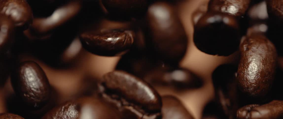 Brown beans moving about