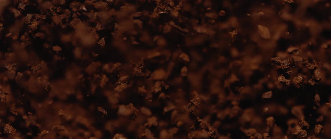 Dark uneven granules cover earthy surface under soft light