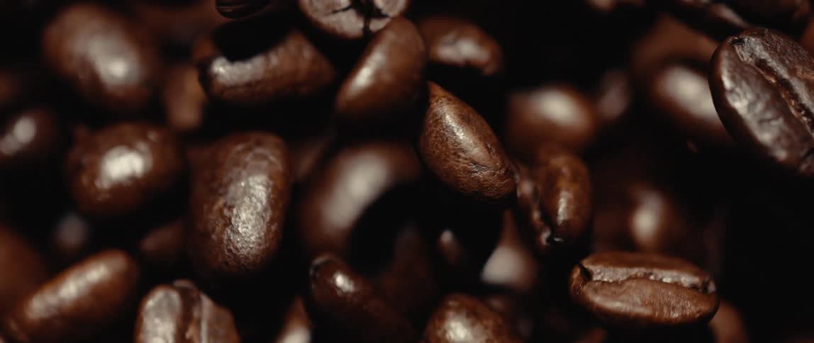 Roasted coffee beans display glossy surface and rough texture under warm light