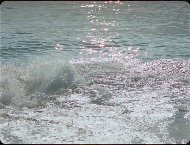 Friends run and dive in the water on the beach