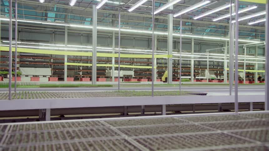 A large indoor farm with young plants on multilevel racks and a worker in the background