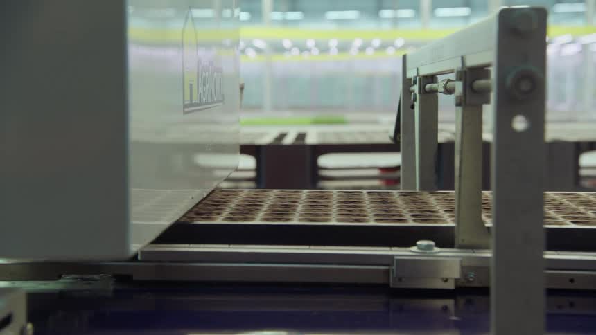 Automated system moves trays with growing medium in controlled agricultural environment
