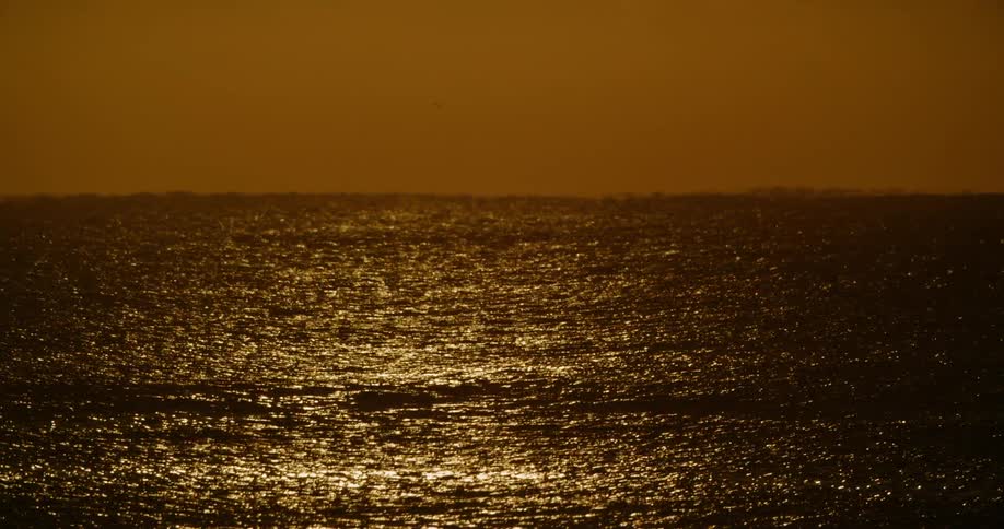 Birds fly across the water as sunlight reflects on the ripples and waves