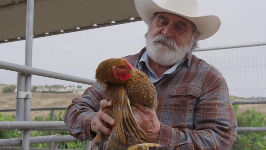 The farmer is holding a chicken on his farm