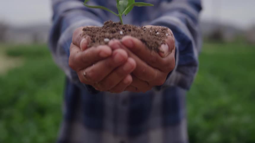 A man is holding a plant in a handful of soil next to a field