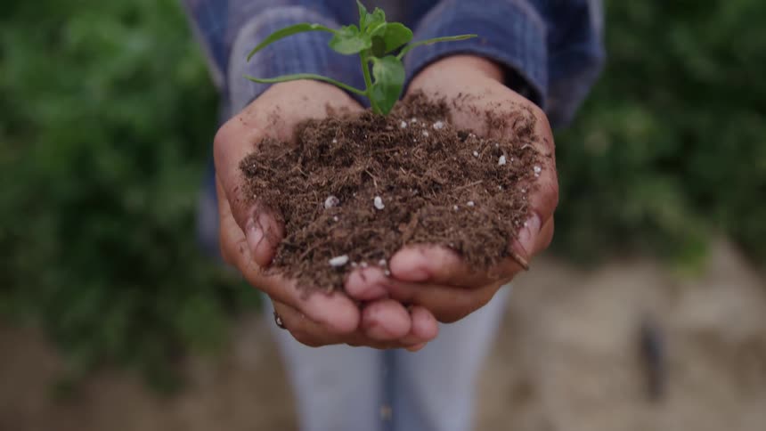 A man holding soil and a new plant moves it forward to show