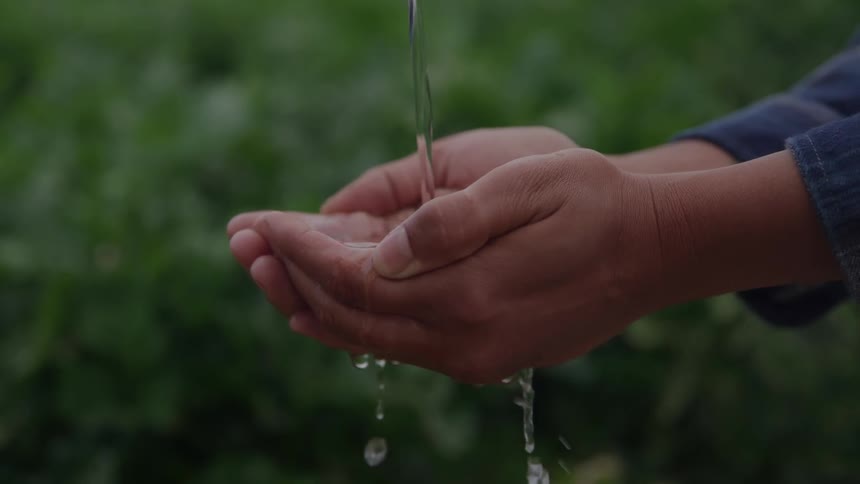 Clear fresh water streams into a persons cupped hands and immediately flows between the fingers against a dark green outdoor background