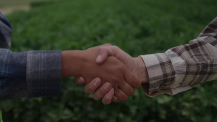 A close view shows the hands of two farmers or coworkers shaking firmly in a gesture of agreement against a blurred green field