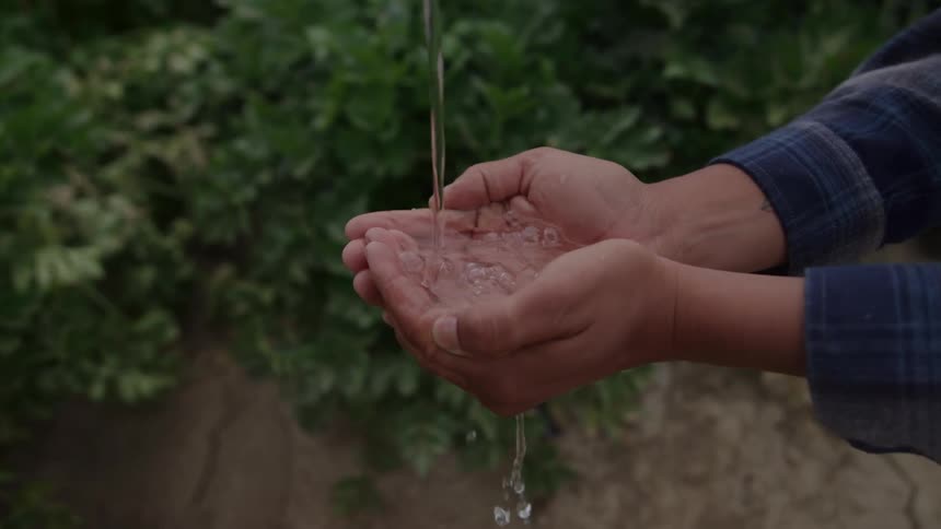 Hands collect running water in front of vegetation