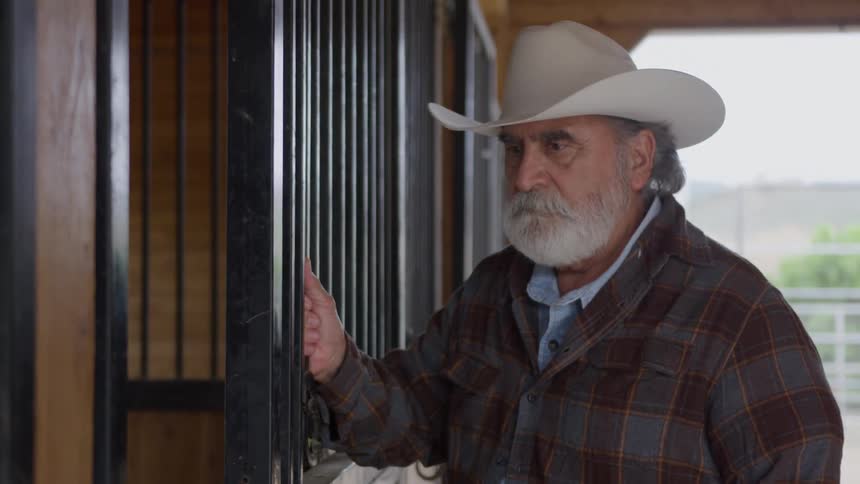 The man closes the gate in the stable