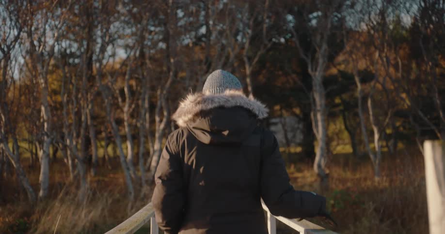 The person is wearing a dark winter parka with a prominent furtrimmed hood and a lightcolored knit beanie suggesting cold weatherthe background is dominated by a dense growth of thin trees or shrubs with mostly bare lightcolored branches illumina