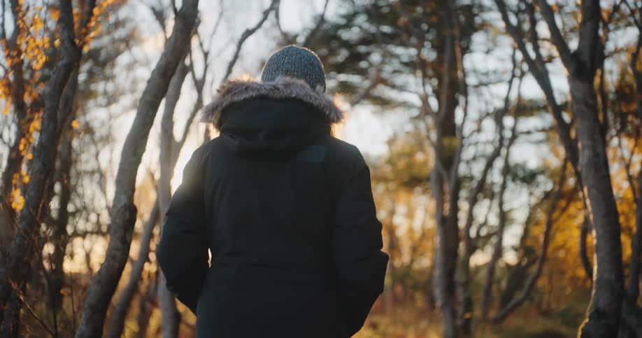 A person wearing a dark hooded winter jacket and a gray beanie walks with their back to the viewer in a sunlit autumnal woods