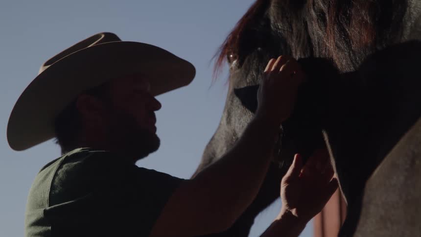 Person wearing widebrimmed hat adjusting gear on horse under soft morning or late afternoon light