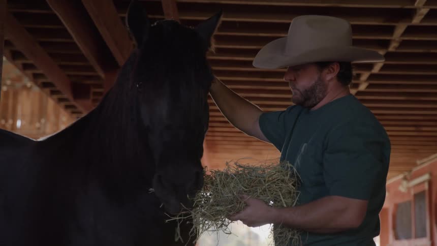 A farmer feeds hay to a darkcolored horse inside a bright lit barn