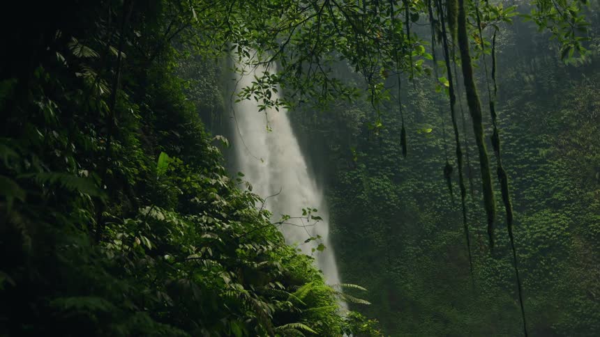 Waterfall flows down the side of a mountain in the rain forest