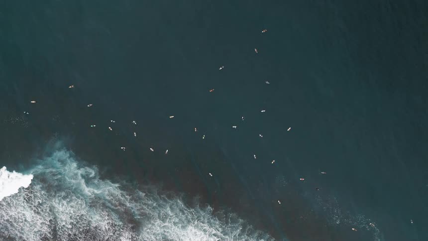 Aerial shot of surfers floating on calm dark water near a breaking wave