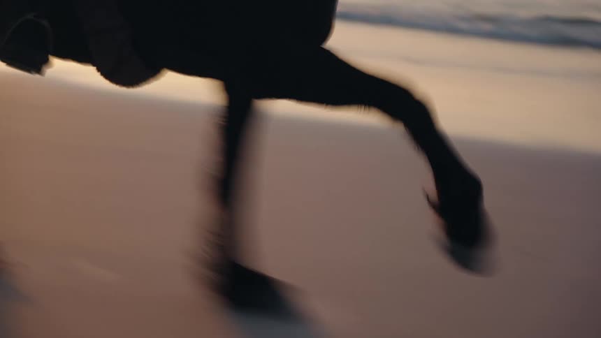 A horse and rider are captured in silhouette against the bright lowhanging sun suggesting either sunrise or sunset the dynamic framing shows the animals legs moving quickly across a beach or sandy ground