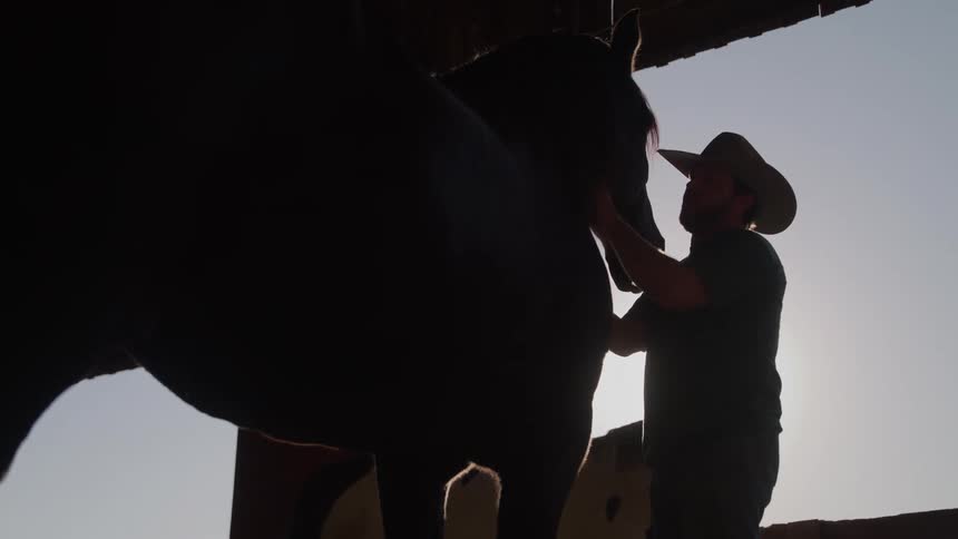 A silhouetted cowboy gently strokes his horse while backlit by the bright sun