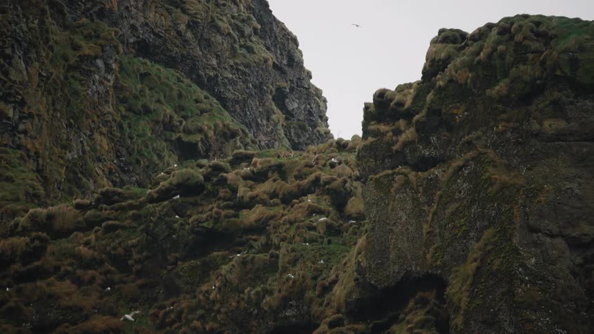 Birds flying over a mountain and sitting on the rough terrain