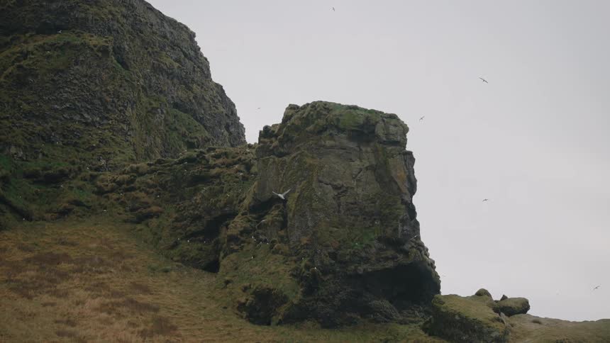 Mossy cliffs rise under a white sky as sea birds circle the grey rocks