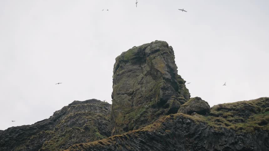 Birds are flying around a tall boulder in the mountains