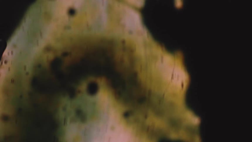 An abstract macro shot shows blurry organic forms of dark and light yellow fluid moving against a black background