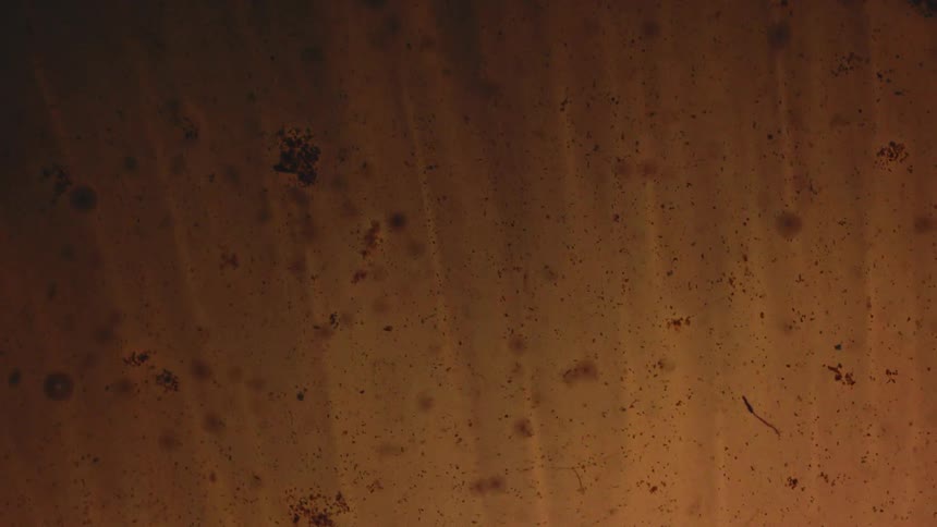 This video clip consists of a closeup shot of an abstract textured and dirty surface the color transitions from black to a murky warm brown or amber with various specks and particles visible