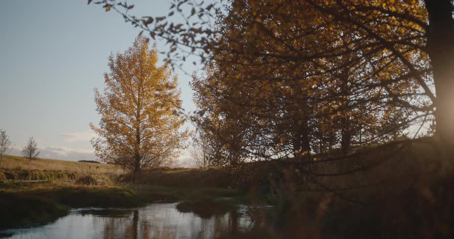 An autumn scene with a small slowmoving river reflecting the sky and the surrounding environment bordered by trees displaying bright yellow and deep brown fall foliage with soft sunlight shining from behind