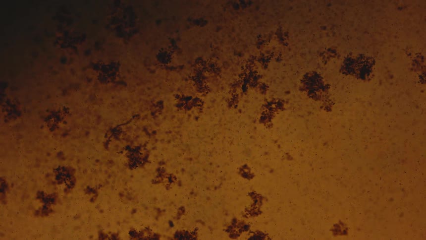A view of soil at the bottom of a lake