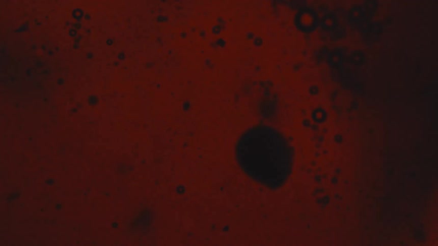 A dark red abstract background with multiple small bubbles in a liquid or gel and dark blots are looking forward in a visceral closeup