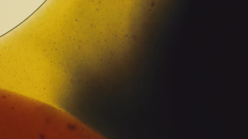 Abstract blend of yellow and black tones with smooth gradients