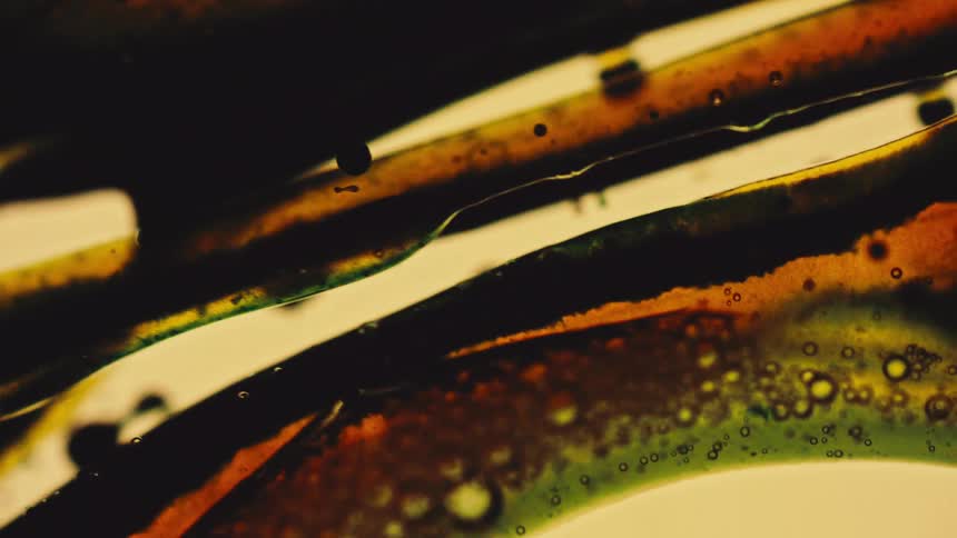 The video features a closeup abstract view of dark yellow and green fluidic streaks and bubbles moving and merging creating a dynamic microscopic or psychedelic effect