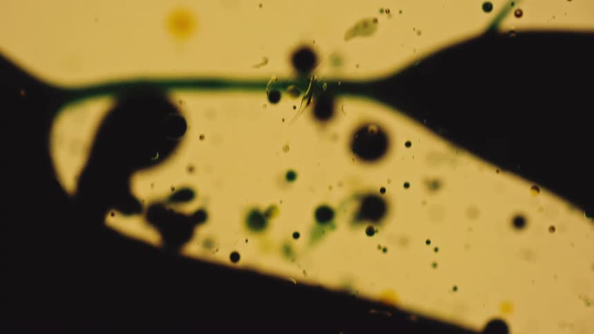 An extreme close abstract view of various sized black green and yellow bubbles floating and moving against a bright yellow background with dark shapes