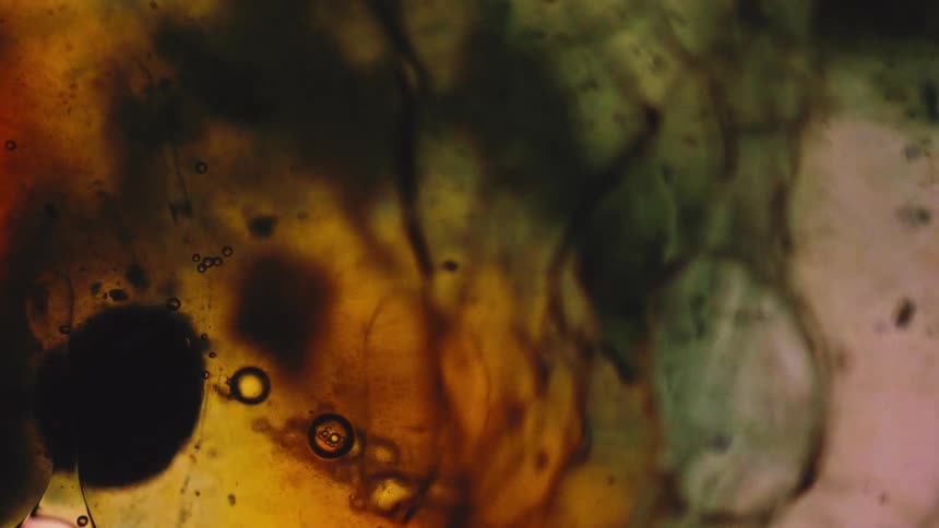 This is a highly abstract macro shot showing dark and colorful liquids swirling together creating a chaotic textured effect the dominant colors are murky oranges greens and browns with small dark bubbles visible in the foreground