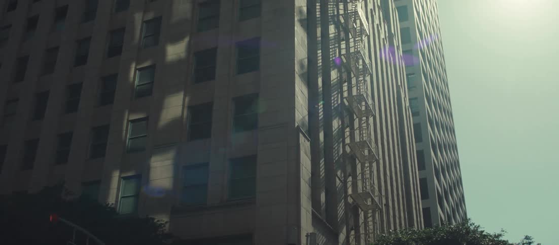 Sunlight flares against the facade of a tall building with a fire escape transitioning into the dark shadows of the tree lined street below