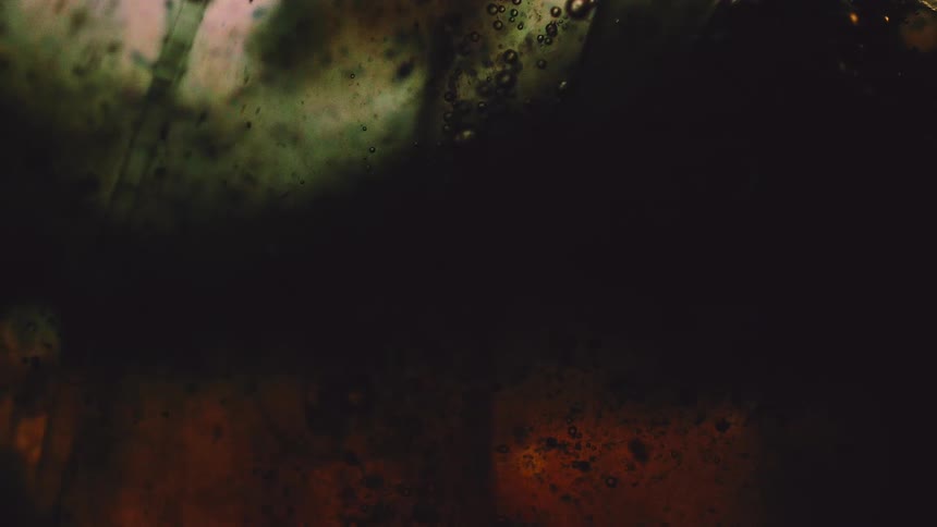 Abstract organic shapes appear in dark tones with scattered bubbles