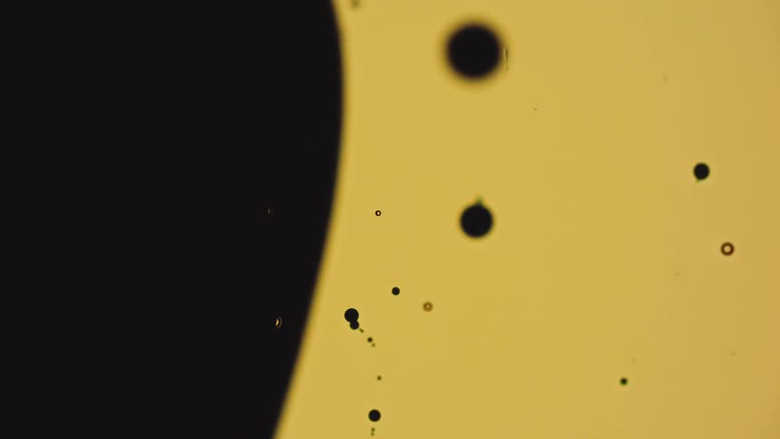 A macro abstract shot shows dark circular oil droplets floating and moving across a bright yellow field with a large dark border