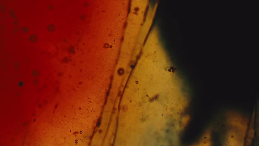 Abstract composition with warm tones