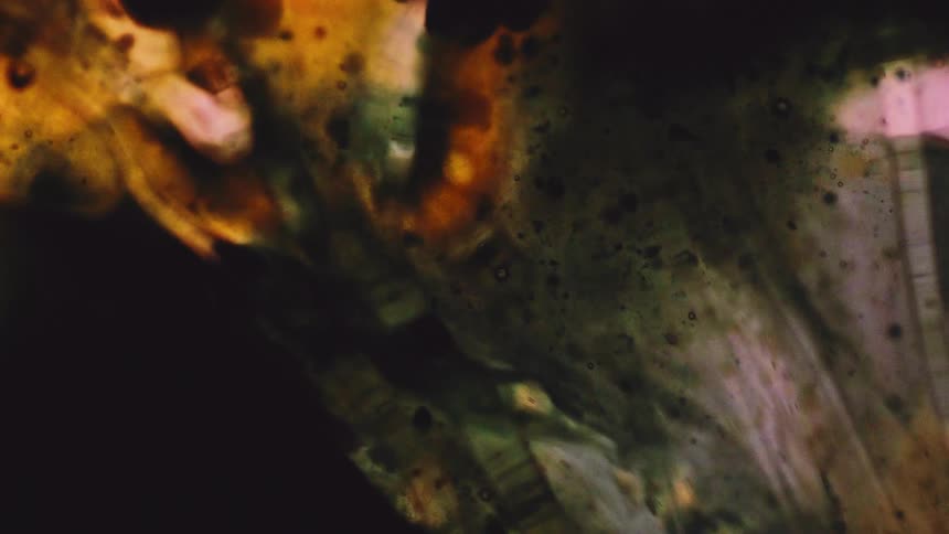 Abstract swirls of orange and black liquid mix with bubbles in a psychedelic display