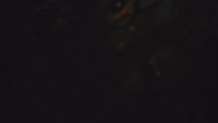 Lights and shapes move through a dark liquid