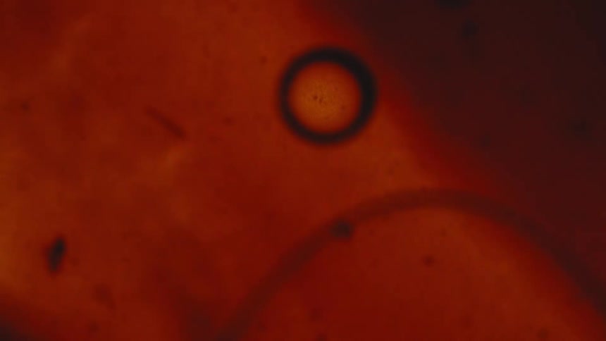 Orange surface with circular bubble and curved line in abstract speckled texture