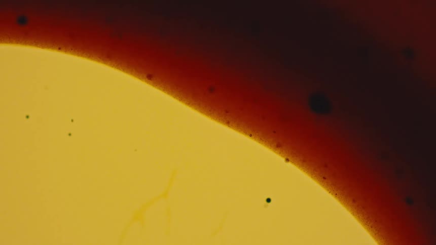 A closeup abstract shot shows a curved boundary between a large yelloworange area and a dark reddishbrown area with small black specks floating in both