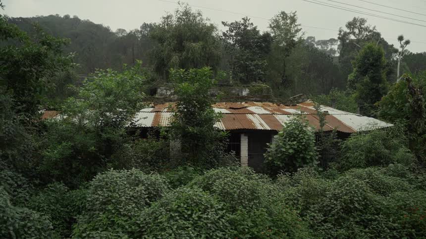 An old building is rusting and being taken over by plants