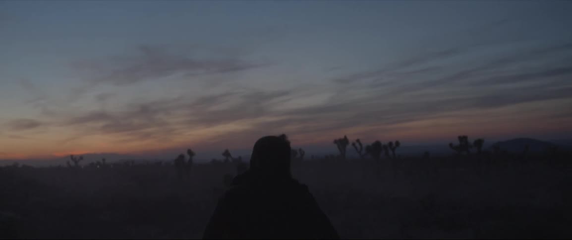 Person running outside in wilderness after sunset