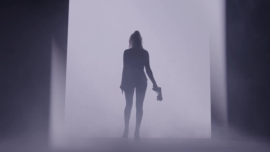 A dramatic silhouette shot features a person presumably a woman standing inside a bright fogfilled doorway or passage she is holding a handgun in her right hand suggesting an action or spythemed context