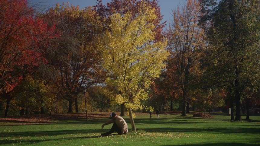 A man sits beneath a yellow tree in a park surrounded by fall leaves