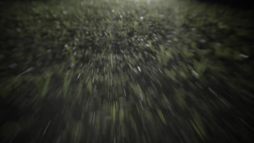 A grass field at night is illuminated by a bright light casting a vivid glow across the blades