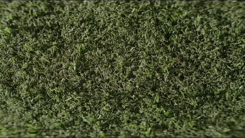 Green synthetic fibers mimic natural grass in dense textured surface