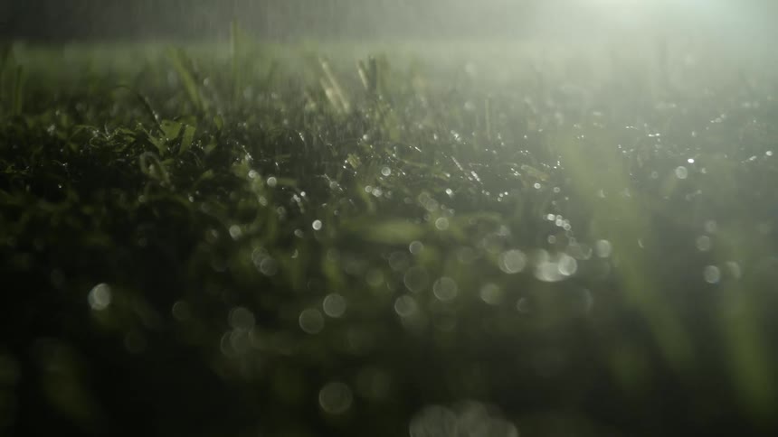 A close up view of grass getting rained on
